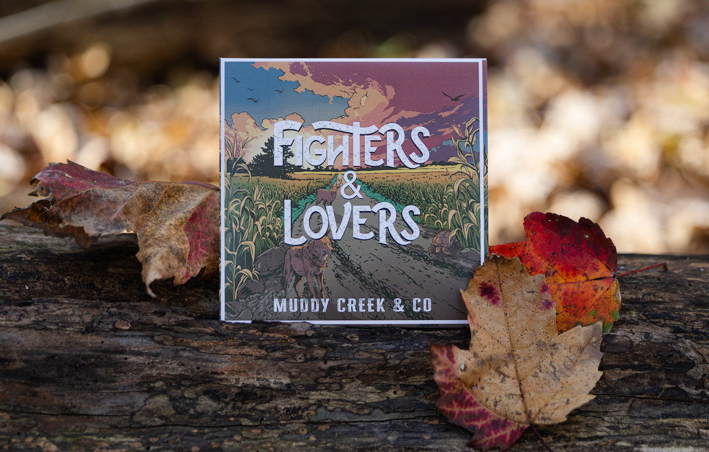 Fighters & Lovers CD